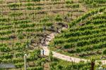 Cross Country Tra le Torri 2026